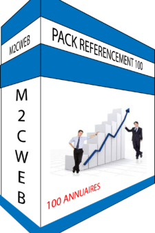 Pack Référencement 100