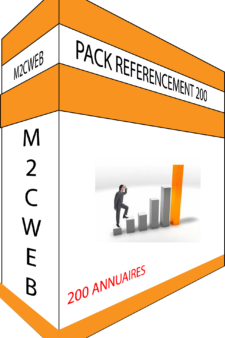 Pack Référencement 200