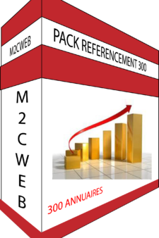 Pack Référencement 300