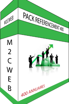 Pack Référencement 400