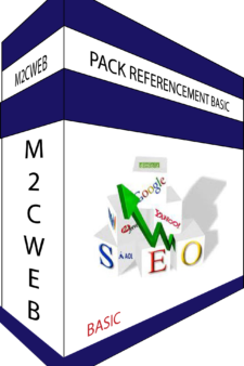 Pack Référencement Basic