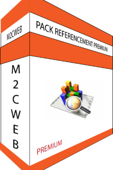 Pack Référencement Premium